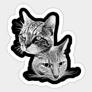 Cats!!! Sticker